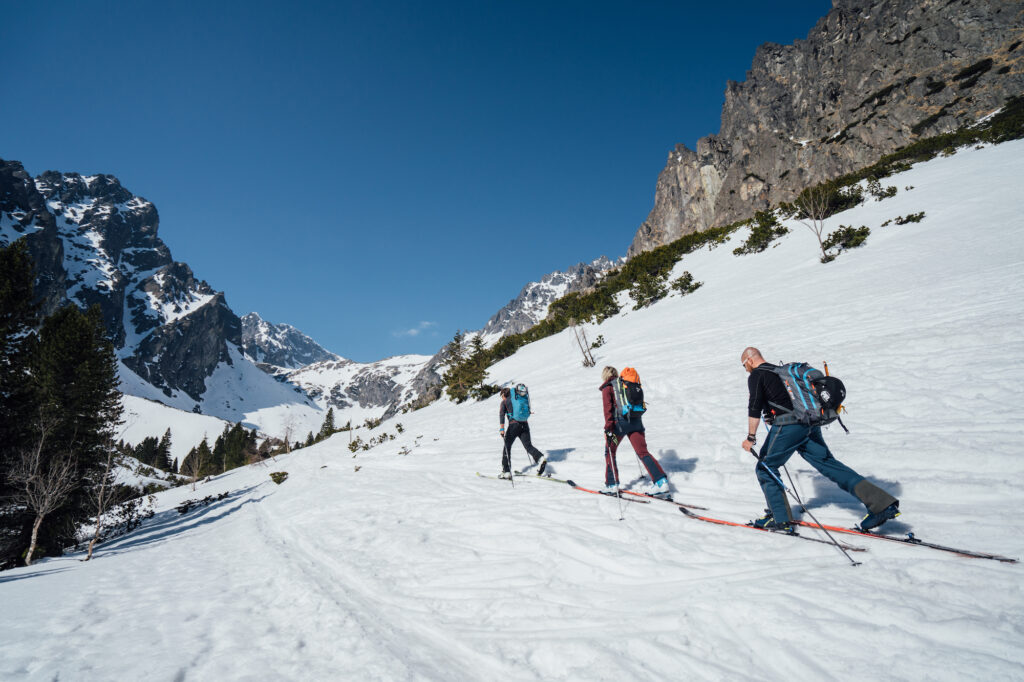 Skialp