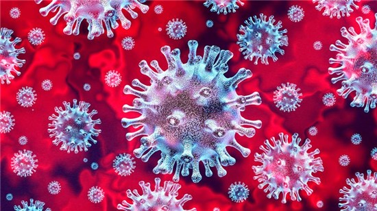 RUVZPP a UVZSR – informácie k epidémii koronavírusu
