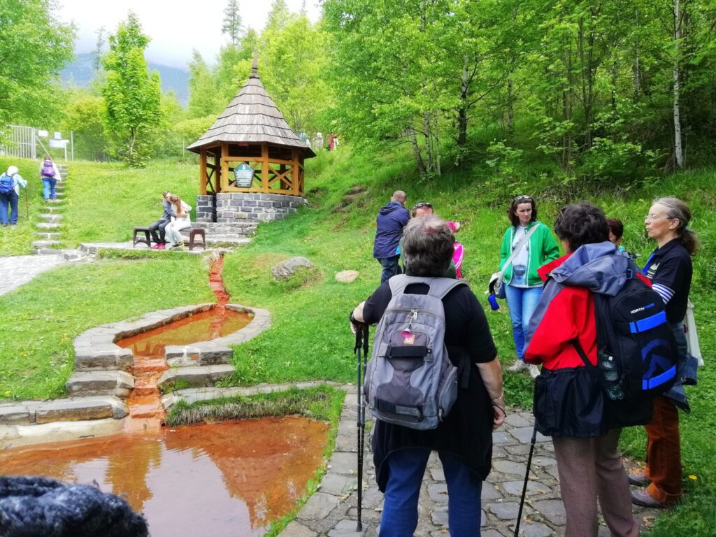 Historickou električkou za športom, umením a poznaním v liečivej sile prírody