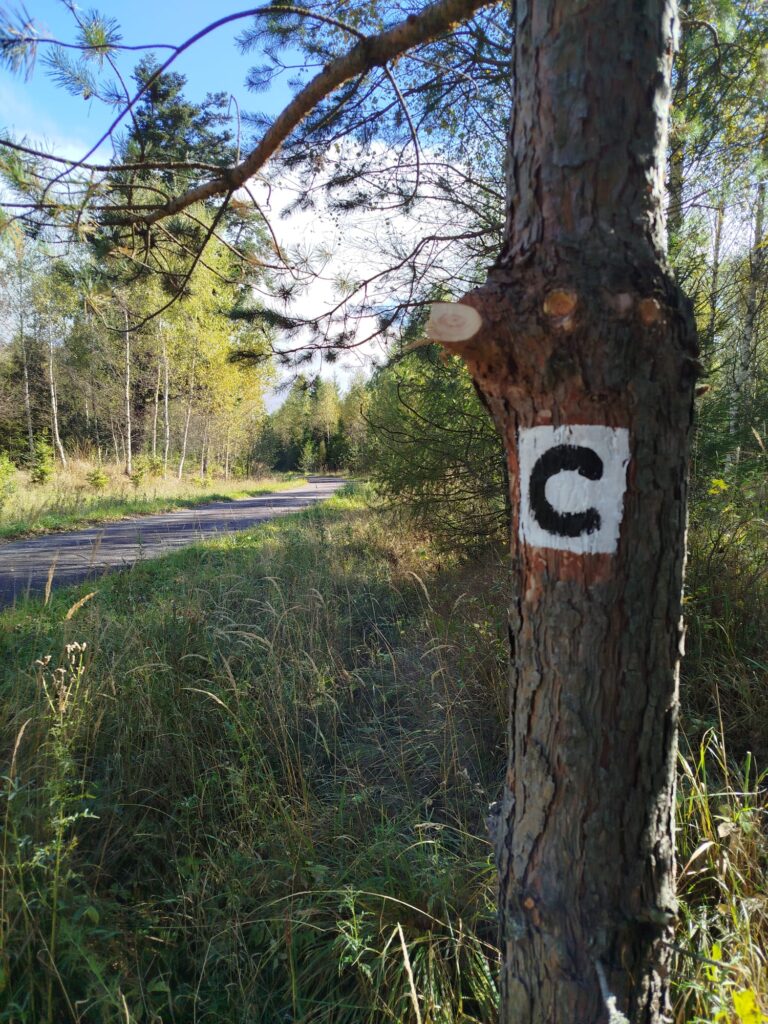 cyklotrasa VM7 Kamenná cesta