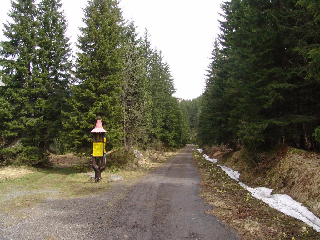 5859 – Podbanské – Tichá dolina