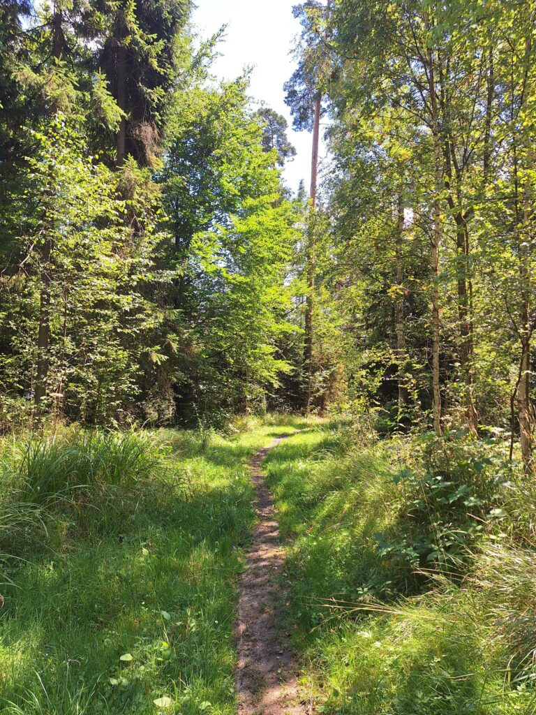 5863- Tatranská Lomnica_Veľká Lomnica_zelená (4)