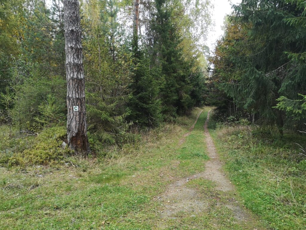 5879_Horný Smokovec – Stará Lesná - Matejovce (1)