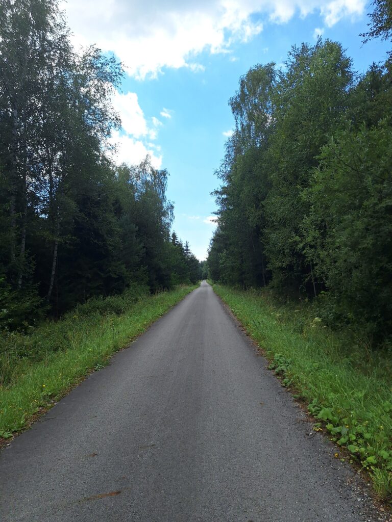 5895_Tatranské Matliare – Skalaná poľana