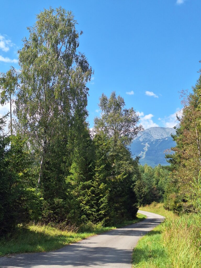 5895_Tatranské Matliare – Skalaná poľana