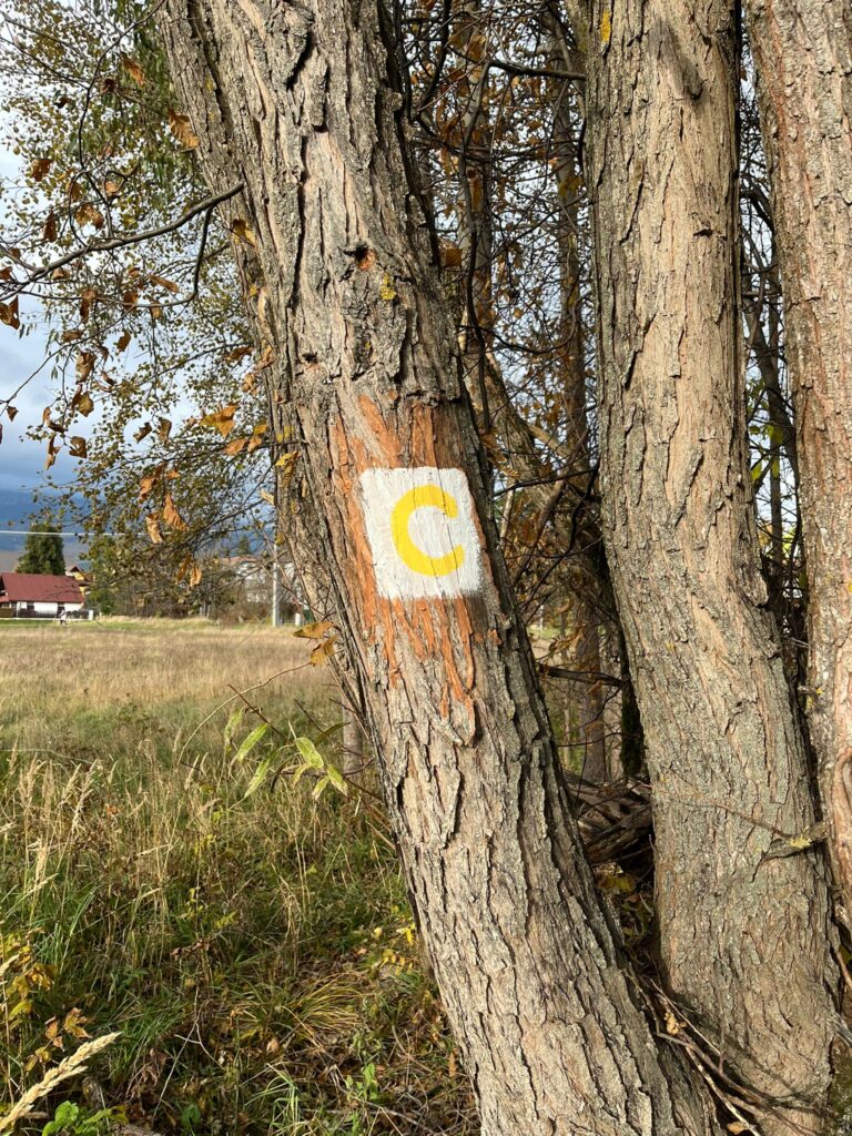 8858_Vyšné Hágy – Batizovce - Tatranská Polianka