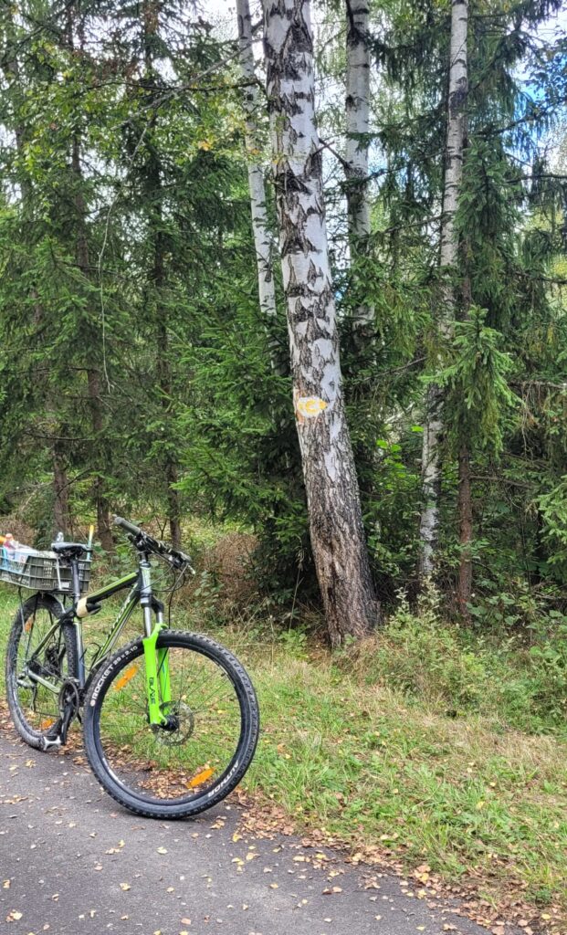 8859_Mlynica – Horný Smokovec