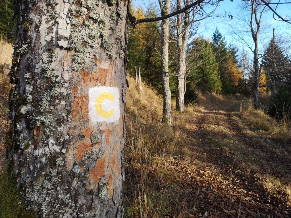 8876_Tatranská Lomnica - Javorová cesta