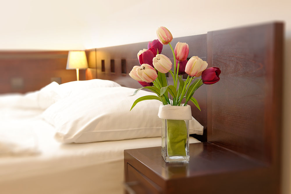 Hotel Tulipán ***