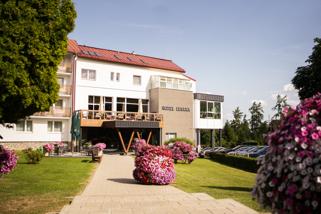 Hotel LESANA****