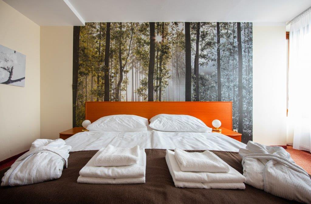 Hotel *** SOREA TRIGAN
