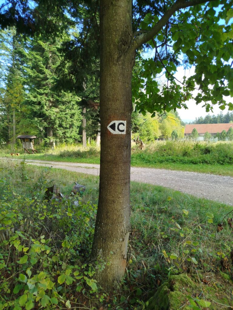 VM5 Košariská - Fľak