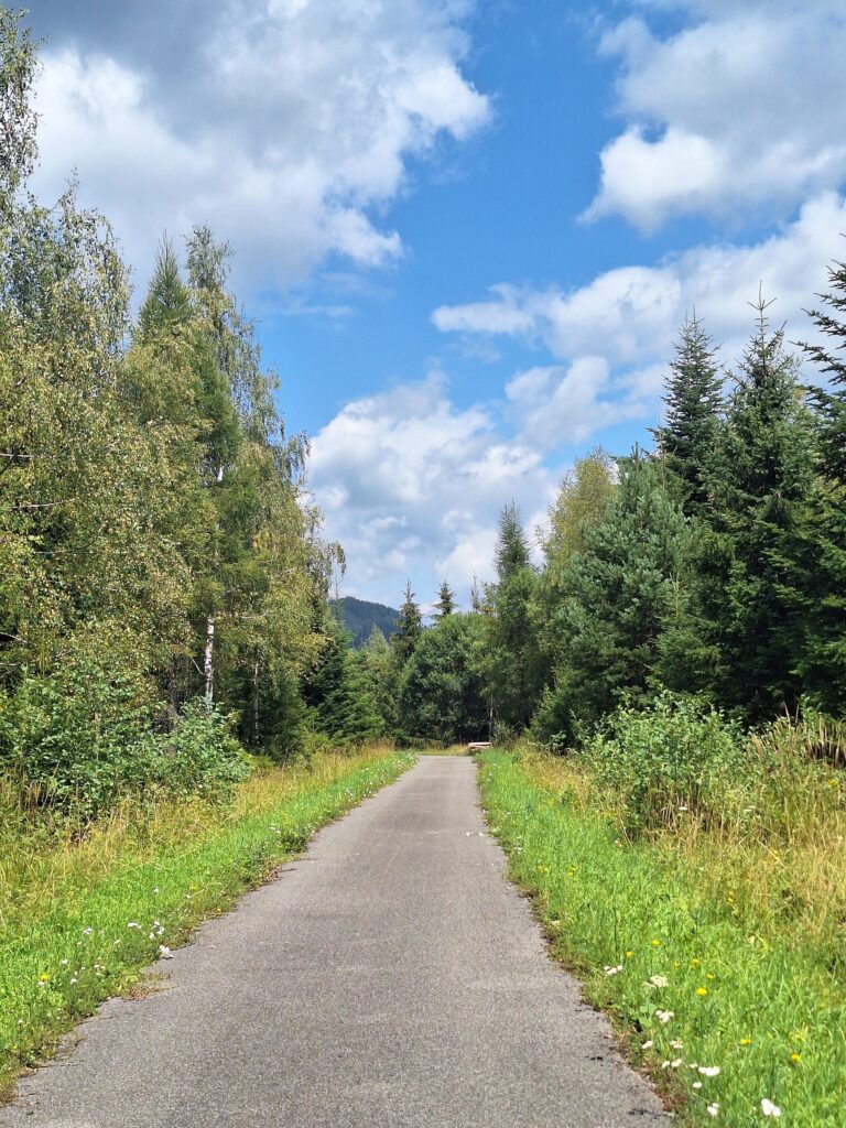 VM7 Kamenná cesta