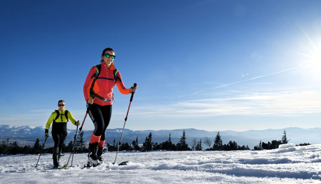 Skialp