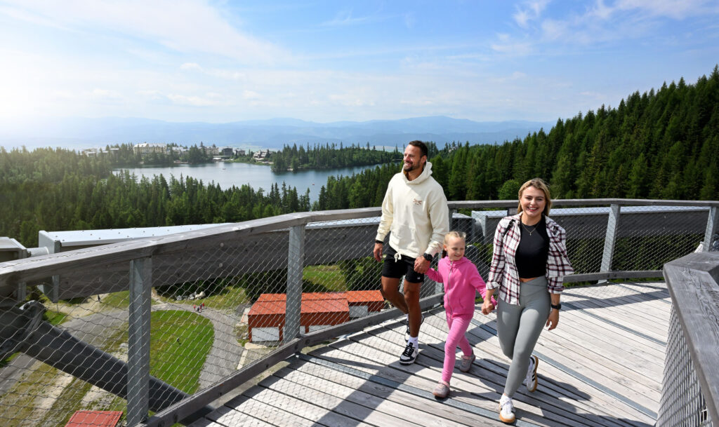 Tatras Tower