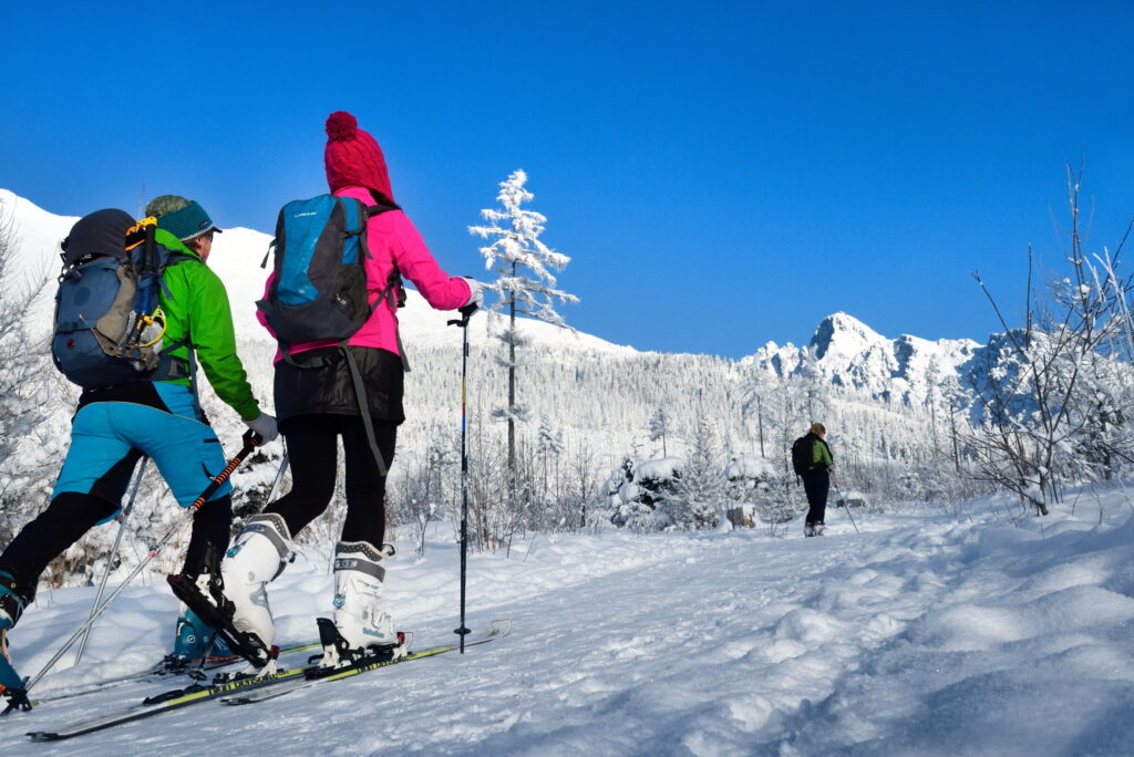 skialpinizmus