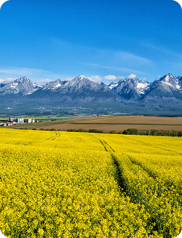 Vysoké Tatry