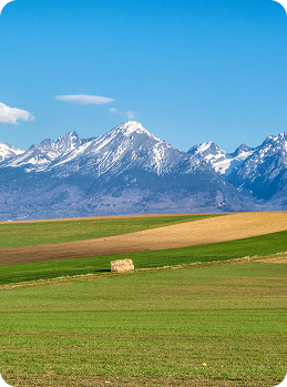 Vysoké Tatry