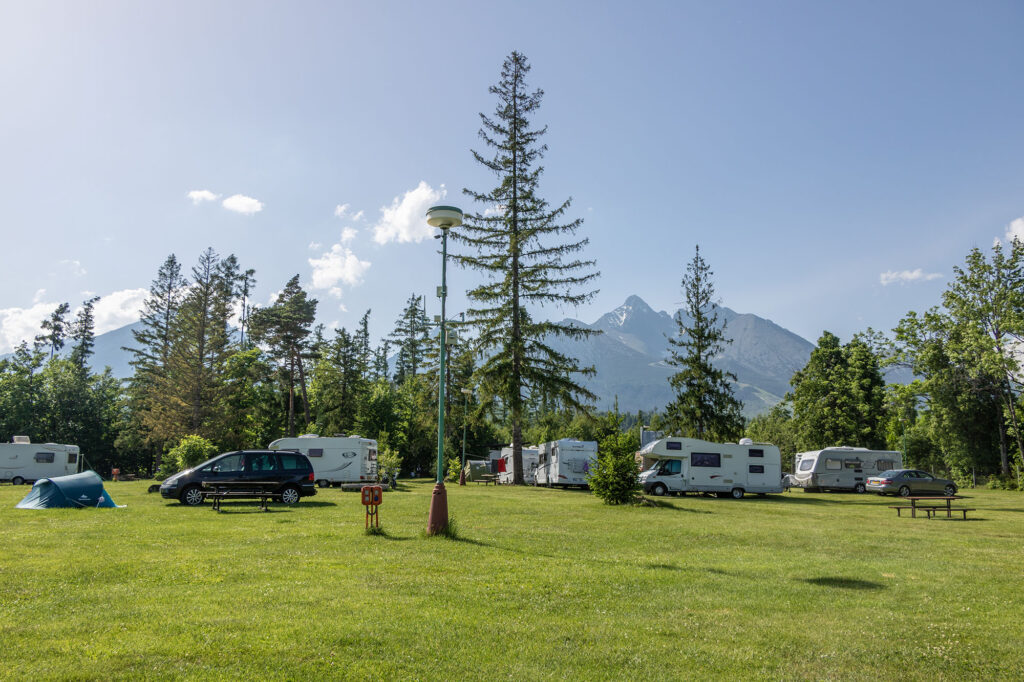 rijo camp