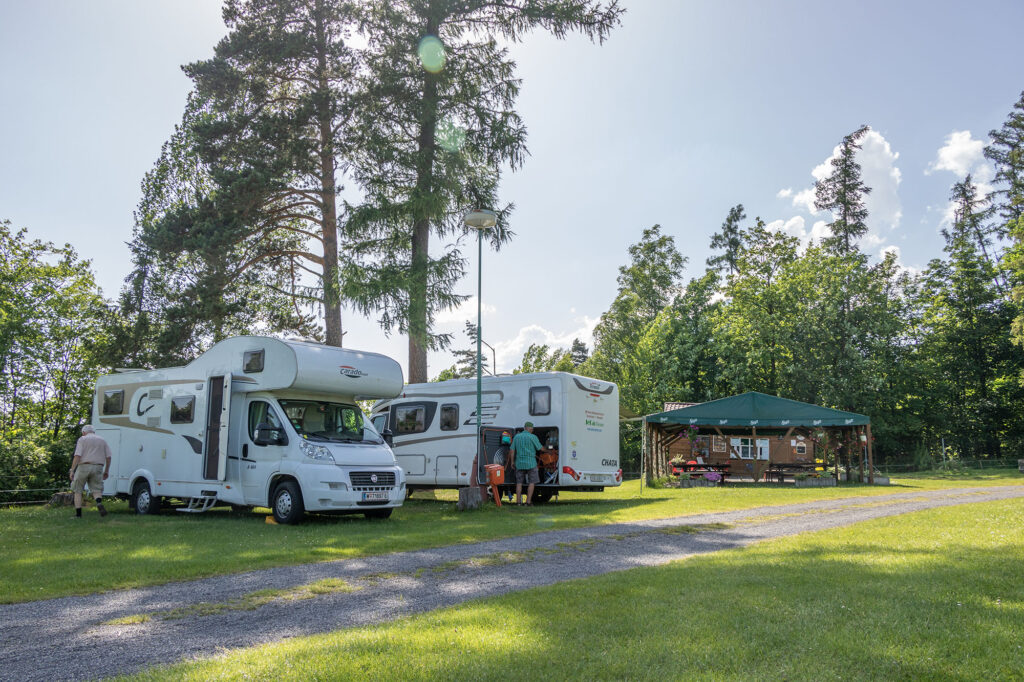 rijo camp
