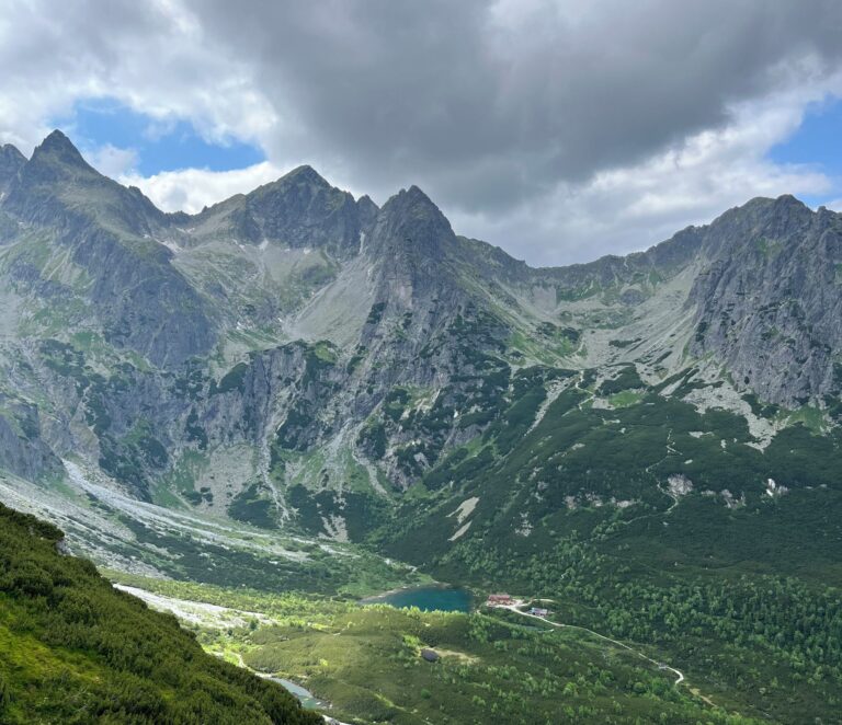 veľká svištovka