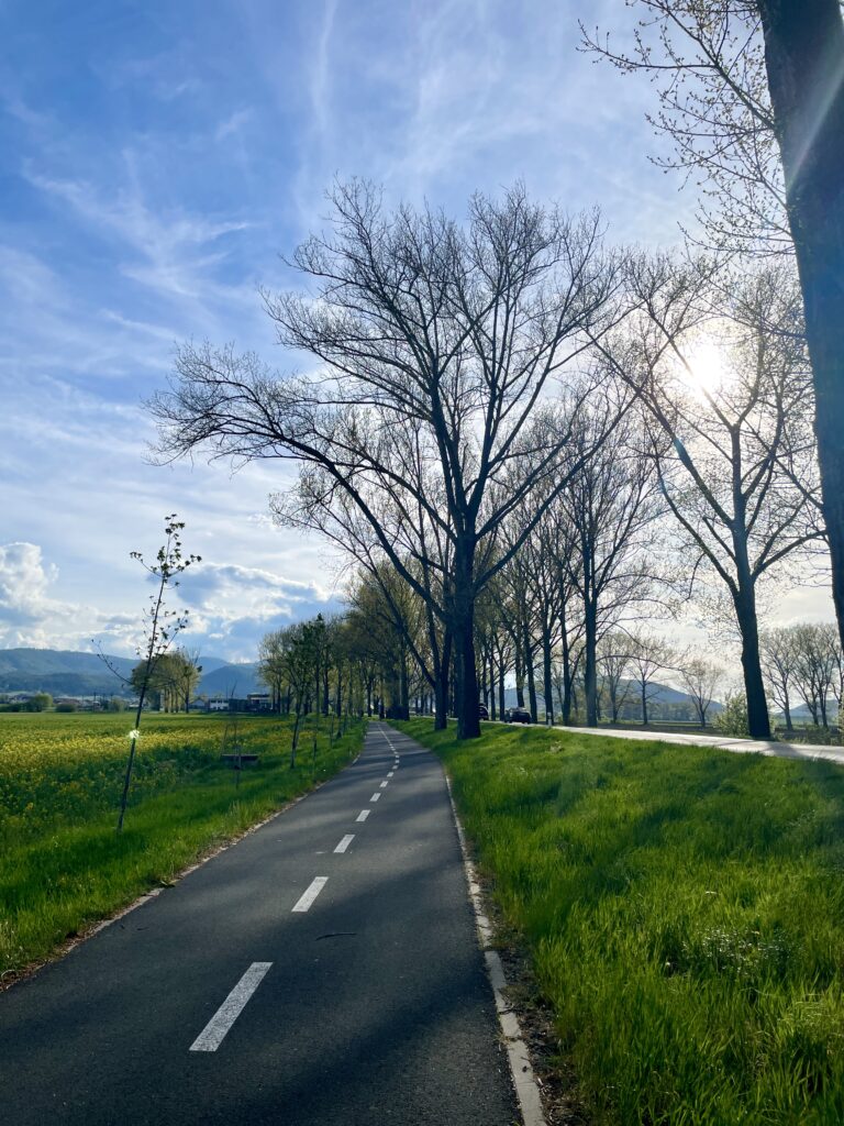 8885_Spišská Teplica – Svit