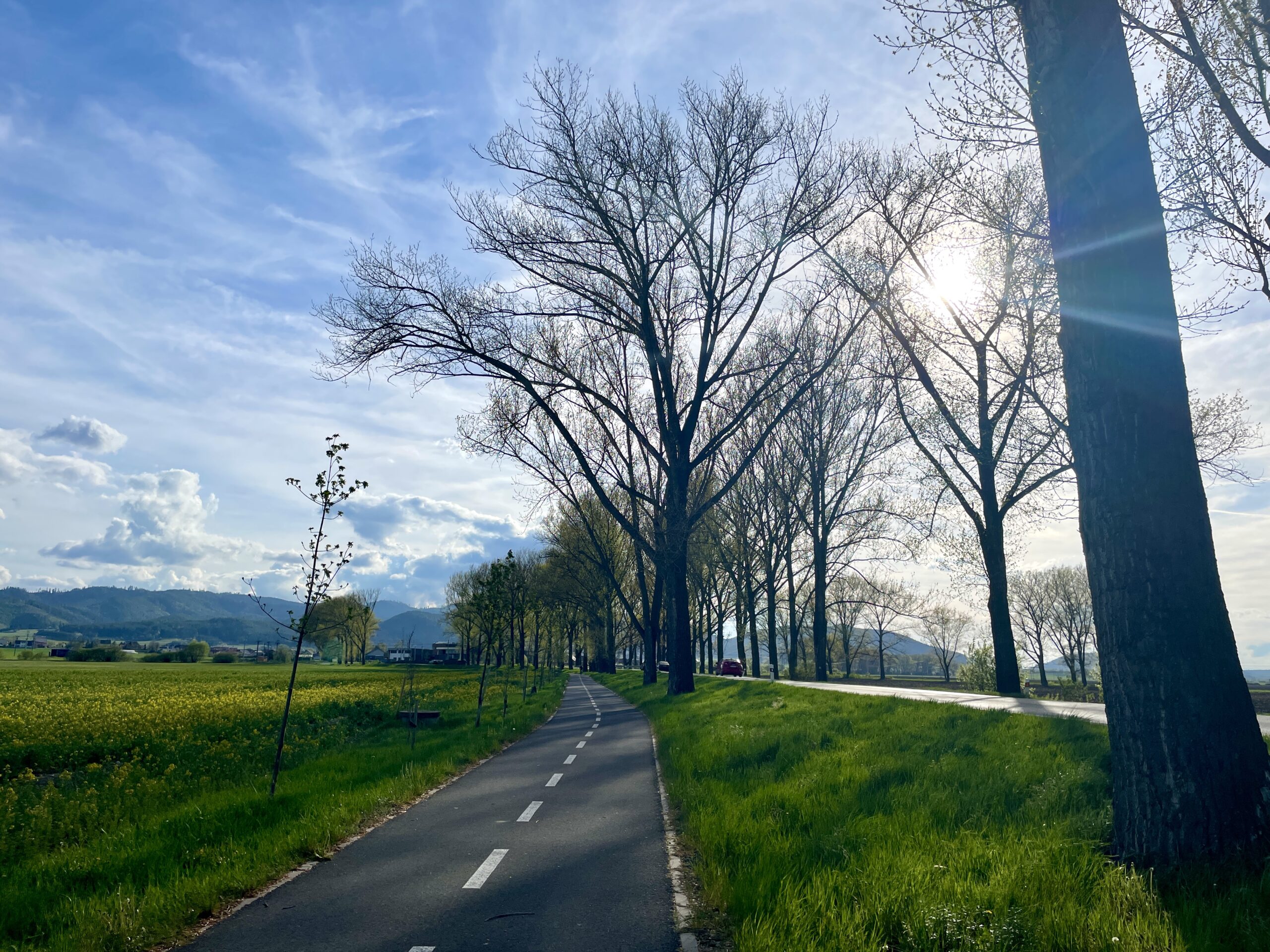 8885 – Spišská Teplica – Svit