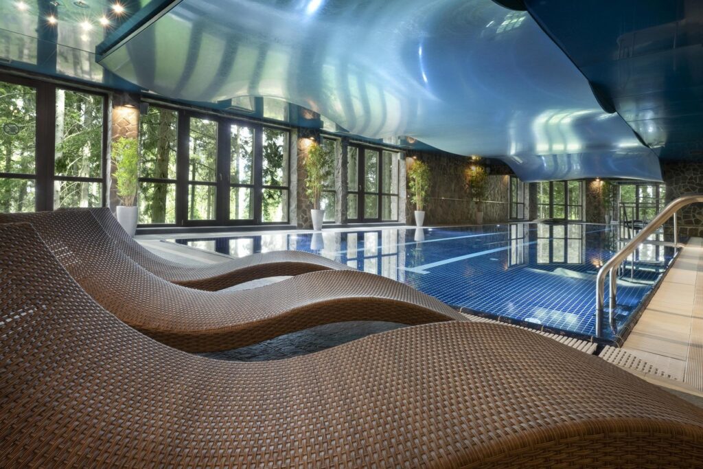 Wellness Hotel Borovica****