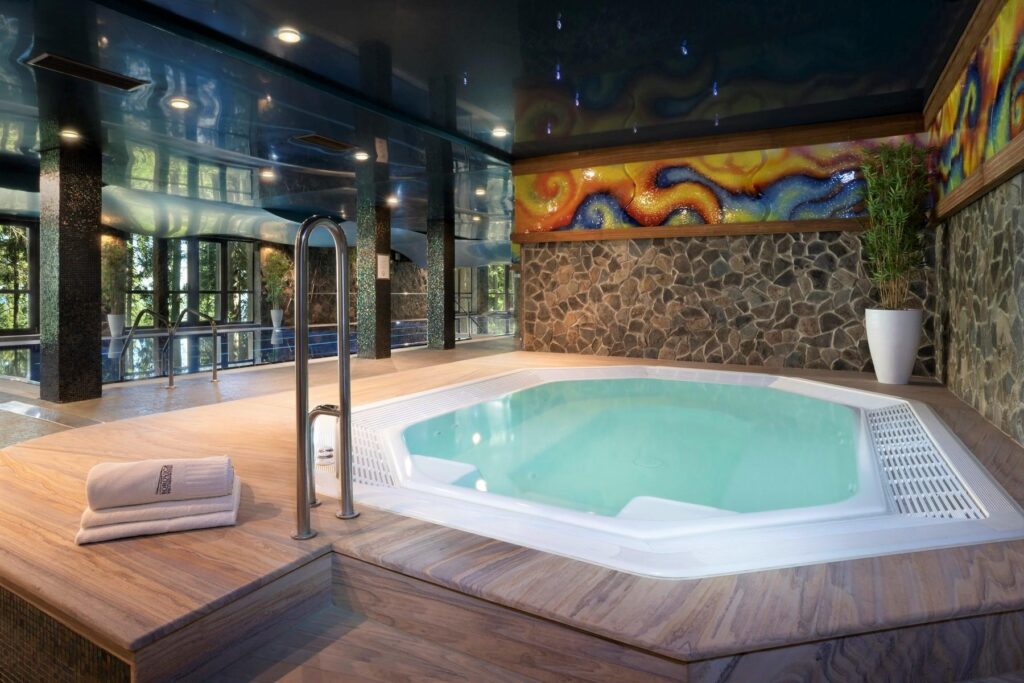 Wellness Hotel Borovica****