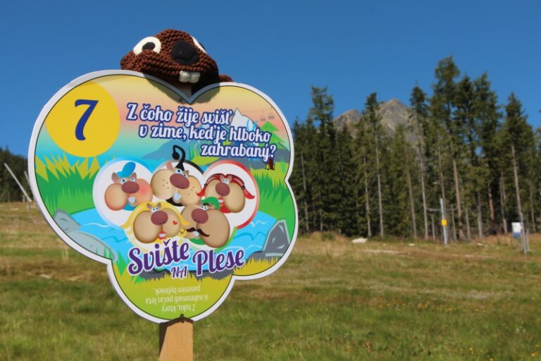 Svište na Plese 2016
