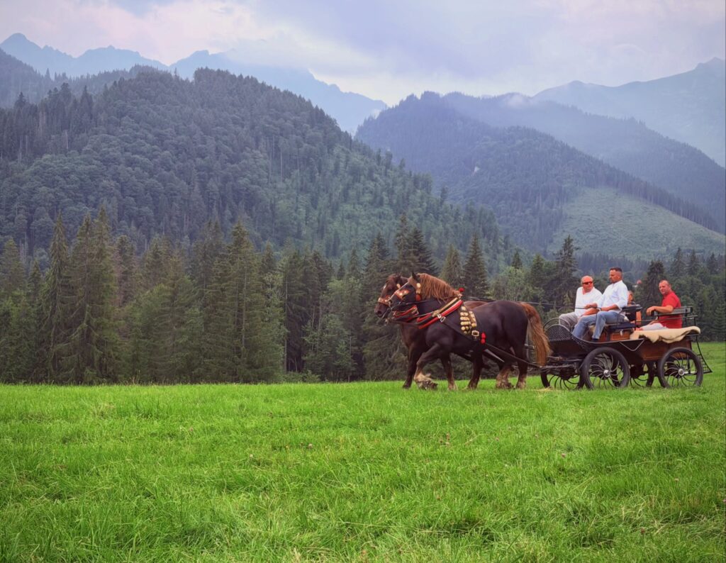 jazda kočom TANAP_Javorina